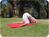 halasana