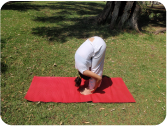 padahastasana