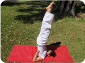 sarvangasana